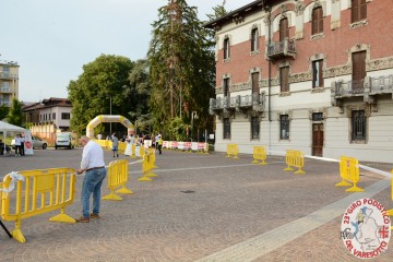 DSC_7984.jpg