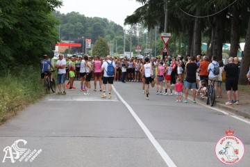 IMG_3524.jpg