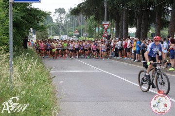 IMG_3528.jpg
