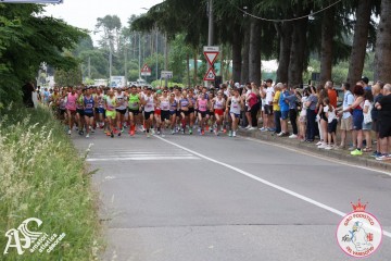IMG_3530.jpg