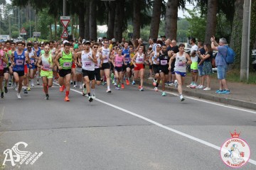 IMG_3536.jpg