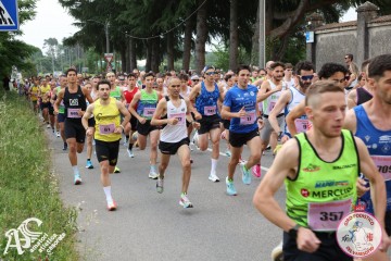 IMG_3545.jpg