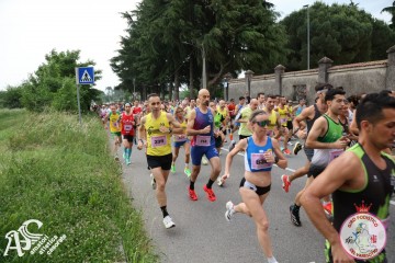 IMG_3555.jpg