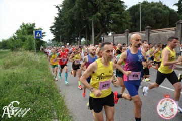 IMG_3556.jpg