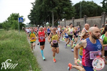 IMG_3557.jpg