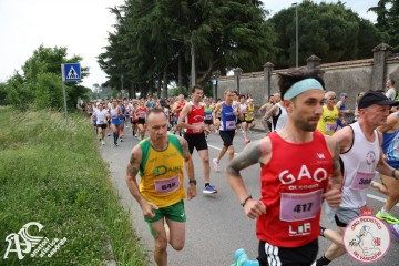IMG_3559.jpg