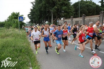 IMG_3564.jpg