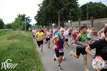 IMG_3593.jpg