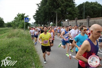 IMG_3594.jpg
