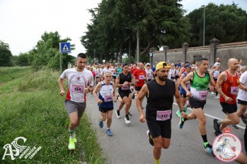 IMG_3597.jpg