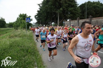 IMG_3604.jpg