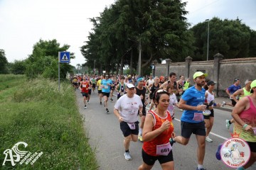 IMG_3622.jpg