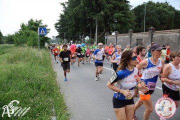 IMG_3646.jpg