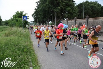 IMG_3649.jpg