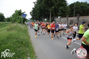 IMG_3678.jpg
