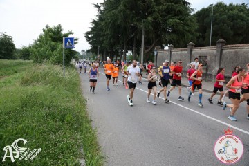 IMG_3684.jpg