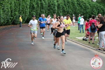 IMG_4202.jpg