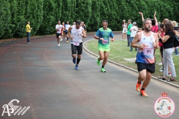 IMG_4211.jpg
