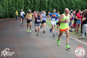 IMG_4231.jpg