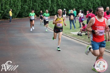 IMG_4260.jpg