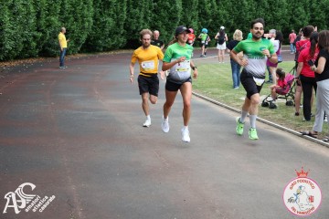 IMG_4262.jpg