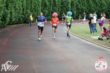 IMG_4268.jpg