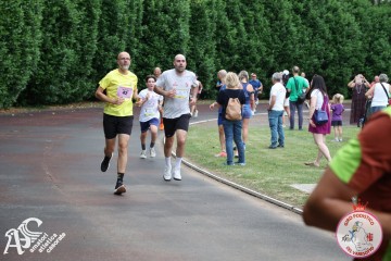 IMG_4424.jpg