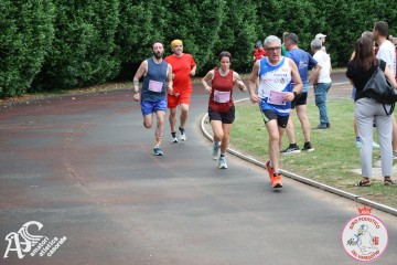IMG_4537.jpg