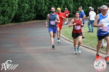 IMG_4538.jpg